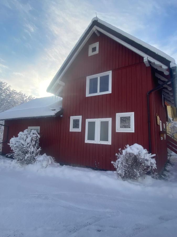 Fischer Huette Sankt Andreasberg Exteriér fotografie